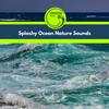 Ocean of the Raining Water - Eric Library of Nature Sounds