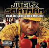 Shottas (Explicit) - Juelz Santana&Sizzla&Cam'ron