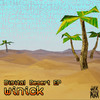 Digital Desert - Winick