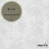 Secret Society (Original Mix) - B-Liv