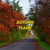 Autumn Flame - Socialites