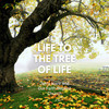 Life To The Tree Of Life - Jerry Ware&Our Faith Baptist Curch