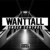 Under Control (Original Mix) - Wanttall