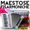 Fisarmonica bizzarra - Remy