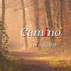 Camino - Sio Falco