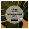 I Like It (Original Mix) - David Fuldner