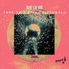 Take This Shiny Discoball (Original Mix) - Sue La Vie