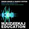 Do It All Right (Original Mix) - Simon Adams&Marco Vistosi