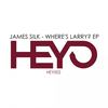 Where's Larry? (Original Mix) - James Silk