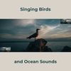 Piano Music and Sounds of Nature(Forest Sounds) - RW Piano&birds&Ocean Sounds