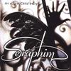 Merciful Angel - Seraphim