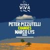 Changes (Marco Lys Remix) - Peter Pizzutelli