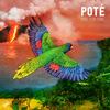 Fire for Fire - Poté&Kojey Radical
