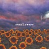 Sunflowers - DI60&Dj Leonardo Rafael