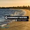 Harmony Water (Original Mix) - Forest Therapy