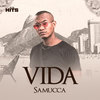 Vida - Alta Hits&Samucca