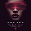 Hidden Love (George Kwali Remix) - Hannah Wants&Detour City