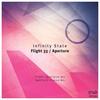 Flight 33 - Infinity State