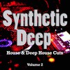 Virity (Deep Floor Mix) - Raul Perez