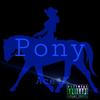 Pony (Explicit) - Ace4k