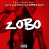 Zobo (Explicit) - AO&DJ Embassey&Vector