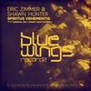 Spiritus Vehementis (Original Mix) - Eric Zimmer&Shawn Hunter