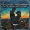 All The Little Things - David Keith&Miss Fudge