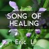 Song of Healing - Eric L.