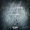 Back (Original Mix) - Carkeys