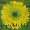 Gott ist gut (Halbplayback) - Andy Andress
