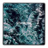 Stamina - Omison&Jaybird