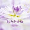 魅力新黄梅 - 斯兰