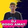 Dj Bodo Amat - Farel Alfara&Quin Prely&Fery MC