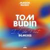 I Like That (Wildfyre Remix) - Tom Budin&Rhiannon Roze