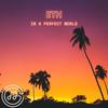 in a perfect world - ETH&CHG&Ethan Mings