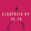 Sequência do Peito - DJ Danilinho Beat&MC Vuk Vuk