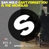 Can't Forget You - San Holo&The Nicholas