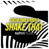 Shake That (Original Mix) - Sacha DMB&Andy D