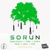 Sorun (Protest Mix|Remix|Explicit) - Sezer Sait Can