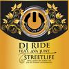 Streetlife (Terry Lex Electro Moog Mix) - DJ Ride&Ava June