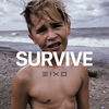 Survive - Eixo&Boogie&Gunther Daniel Fischli&Anthony Biven Jr.
