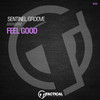 Feel Good (Radio Edit) - Sentinel Groove