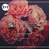 L.A Rules (Original Mix) - Nari&Steve Tosi