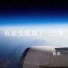 我被爱情扇了一巴掌 - 陈恳