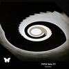 Celebration - PIPO SALTY