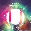 Tiger - Bortus