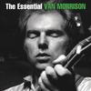 Days Like This - Van Morrison