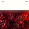 synæsthesis - v e n n&The Fjord I've Never Seen
