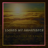 Losing My Impatience (Alvaro Suarez Remix) - Persian Electro Orchestra&Alvaro Suarez