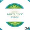 Ornament - Breezz Studio